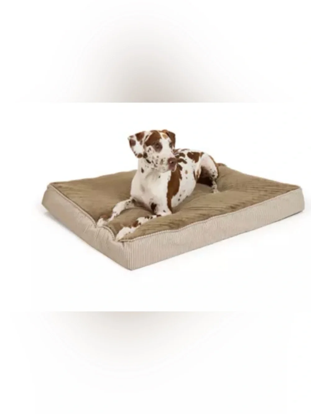 Top Paw® Orthopedic Mattress Dog Bed, Brown/Grey/Tan, 38x30